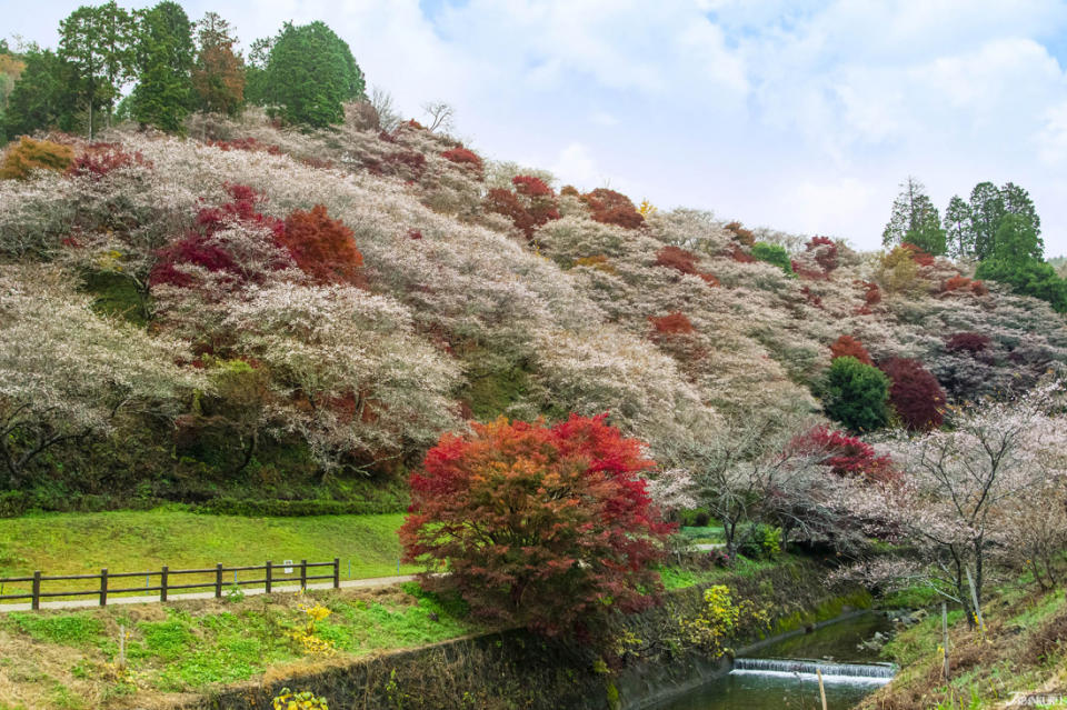 紅葉名所香嵐溪