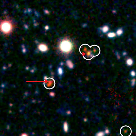 Combined data from Japan's Subaru telescope and ALMA show the AzTEC-3 region. Circled objects are members of the protocluster, previously identified by Subaru, while the ALMA data are highlighted with arrows.