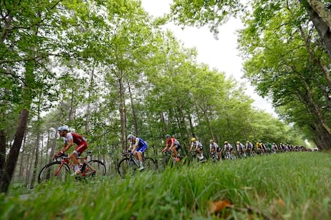 Cyclists in the Tour de France this year - Credit: EPA/ROBERT GHEMENT