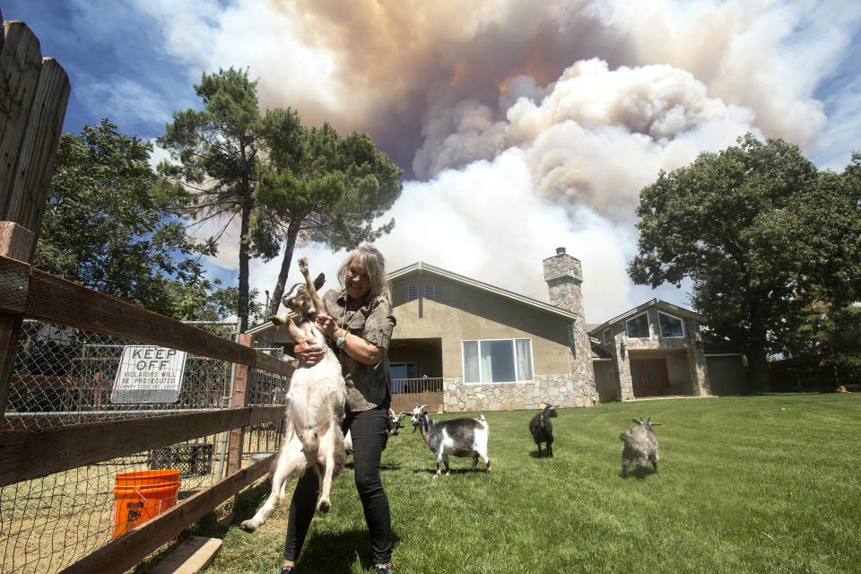 Diane Brickley comes back home to take care her goats after she was evacuated as the Apple Fire burns nearby in Cherry Valley, Calif., Saturday, Aug. 1, 2020. A wildfire northwest of Palm Springs flared up Saturday afternoon, prompting authorities to issue new evacuation orders as firefighters fought the blaze in triple-degree heat. (AP Photo/Ringo H.W. Chiu)