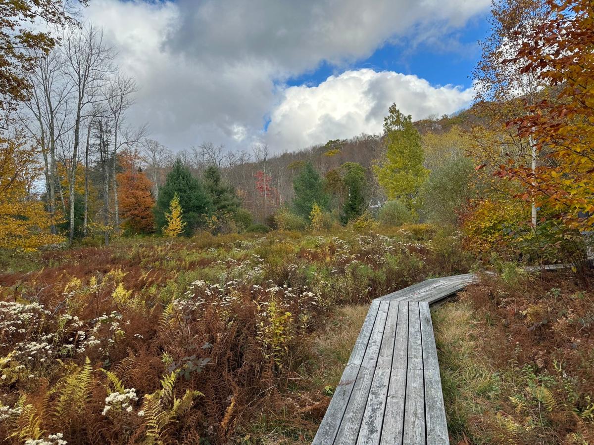 Poconos, Catskills best for leaf peeping