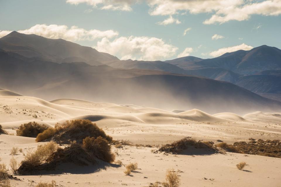 Wind picks up sand at Eureka Sand Dunes in Death Valley National Park.