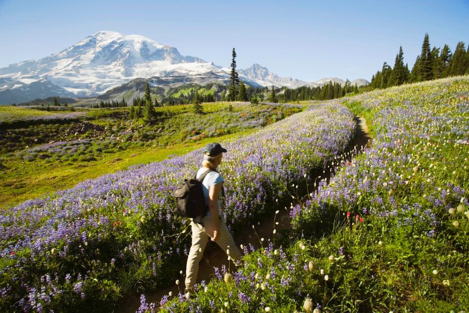 mount rainier national park