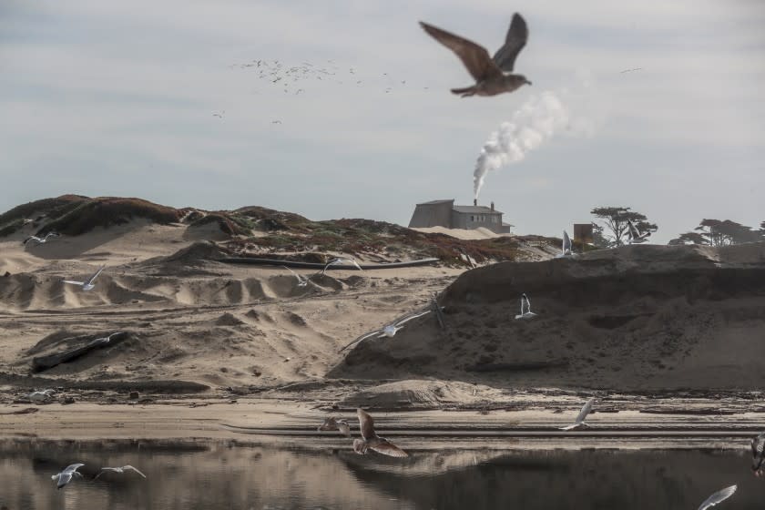 MARINA, CA, WEDNESDAY, JANUARY 26, 2020 - The Cemex sand processing plant continues to dredge sand from Marina Dunes coastline. (Robert Gauthier/Los Angeles Times)