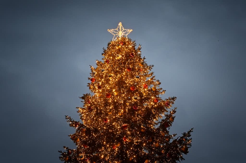 Un sapin de Noël installé à Rome, en Italie, le 4 décembre 2020 (photo d'illustration) - ALBERTO PIZZOL