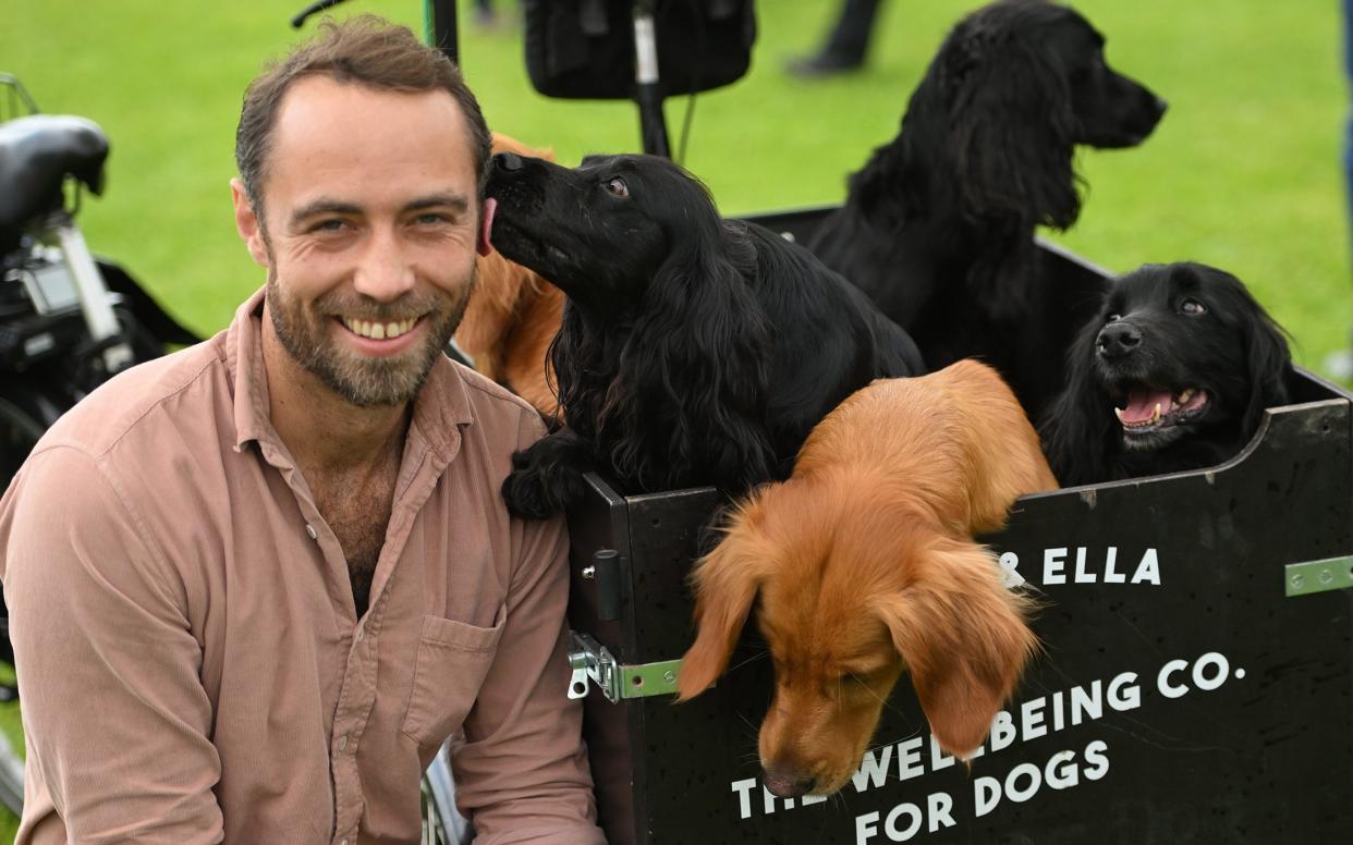 James Middleton has released a book about his mental health struggles called Meet Ella, published in the Daily Mail