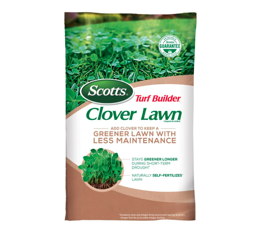 scotts turfbuilder clover lawn, lawn alternatives