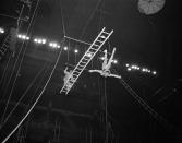 <p>The Rixos on their balanced ladder on a trapeze rehearse their act for Ringling Bros. and Barnum and Bailey Circus at Madison Square Garden, New York, March 30, 1954. (AP Photo/Matty Zimmerman) </p>