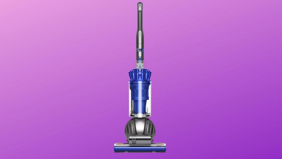 Dyson Ball Animal 2 vacuum in blue.