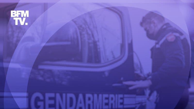 Gendarmerie (illustration). - BFMTV