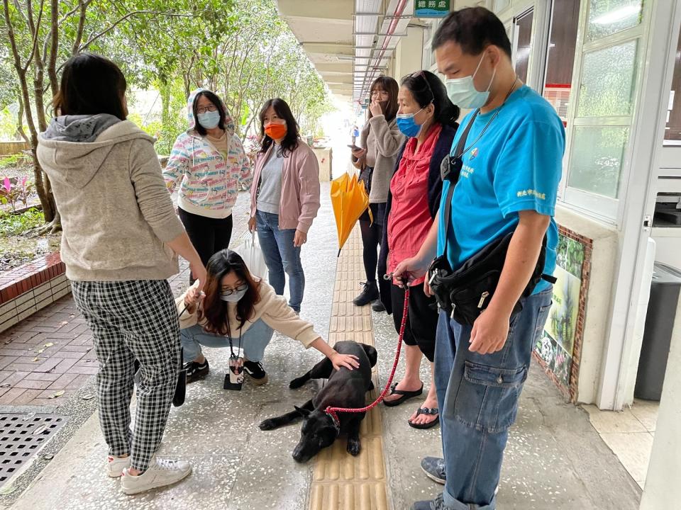 老師們歡迎小黑重回校園。   圖：新北市動保處提供