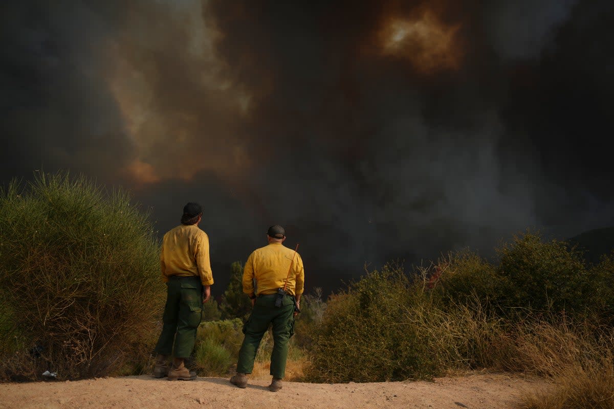 Fire crews monitor the Line Fire, Saturday, Sept. 7, 2024, in Running Springs, California (Copyright 2024 The Associated Press. All rights reserved)