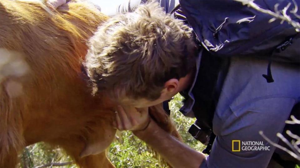 Armie Hammer drinking milk from a goat's udders | Nat Geo