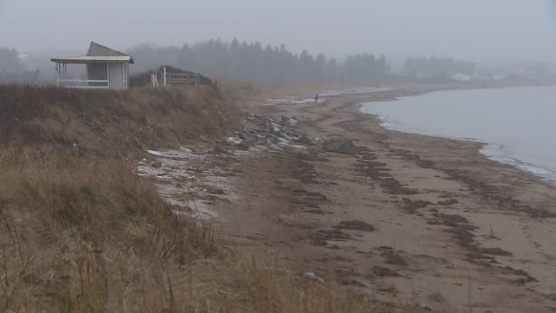 Beachgoers concerned about Murray Beach pollution, lack of warnings