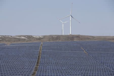 Wind turbines and solar panels are seen at a wind and solar energy storage and transmission power station from State Grid Corporation of China, in Zhangjiakou of Hebei province, China, March 18, 2016. REUTERS/Jason Lee/File Photo