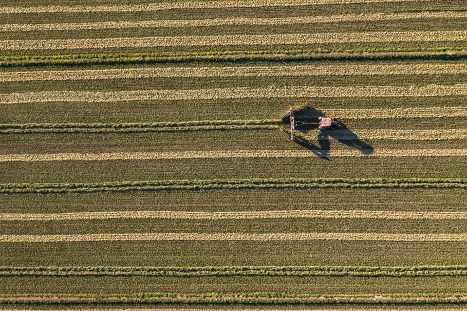 Farm machinery cuts alfalfa near the All-American Canal in Calexico.