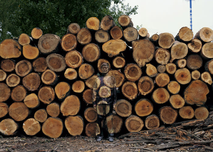 Camouflaged by logs, the fine arts graduate picks a rural location for his installation.