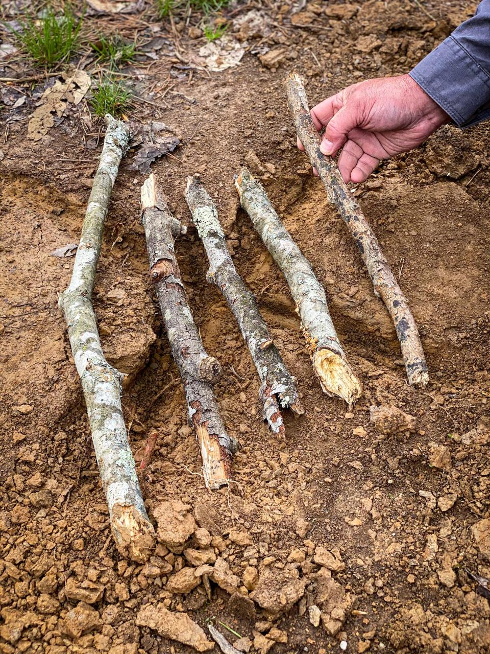 A demonstration on how to use sticks to lay the foundation for a cross-ditch fire.