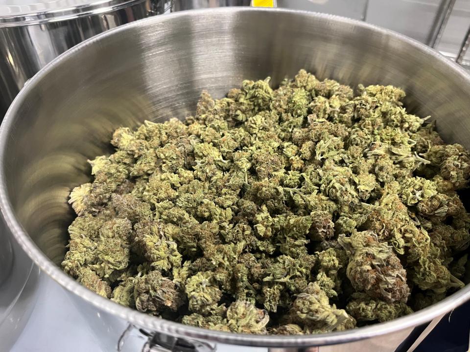 Several gallons' worth of medical marijuana sits in storage with other varieties of cannabis at Flower Shop Dispensary at 2211 W. 49th Street in Sioux Falls on Sept. 5, 2022.