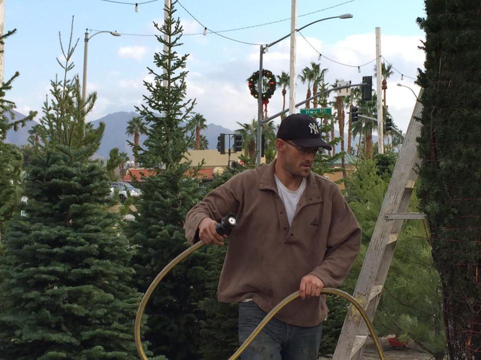 Charlie Garland washes down a 15-foot Noble Fir Tree at The Liberty Trees lot on Highway 111 and San Luis Rey in Palm Desert on Wednesday, Dec. 17, 2014.