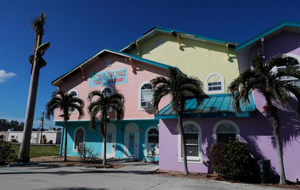 Tiki Tails Dog Resort, which opened in May 2019,  has colorful tiki-themed suites for its guests.