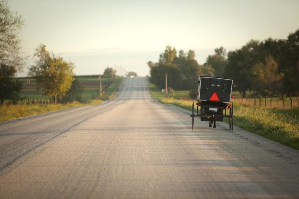 Horse and buggy on side of road at dawn