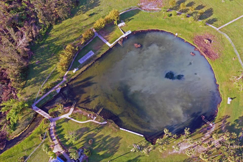 Warm Mineral Springs Park is actually a sinkhole some 70 meters (230 feet) deep, shaped like an hourglass. A few meters below the water's surface, the aperture narrows to 48 meters (157 feet). The entrance expands for a brief time around 13 meters (43 feet) below the surface, providing a ledge beneath an overhang.