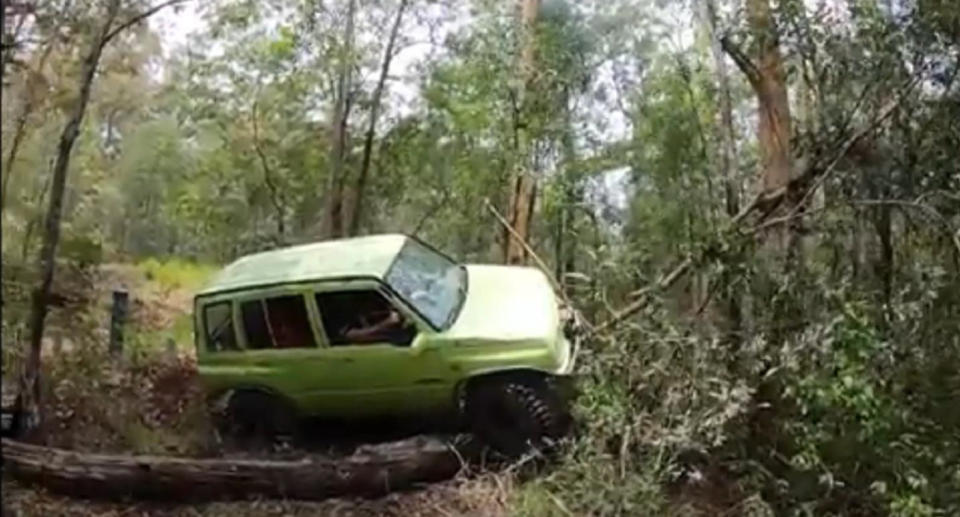 A photo of damage to trees that the man inside of the green four-wheel-drive was making.