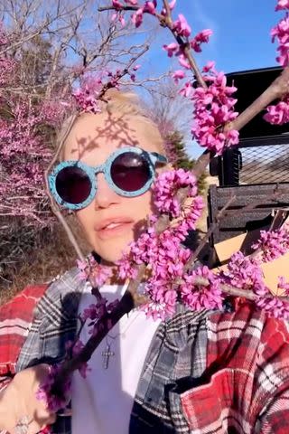 <p>Instagram/gwenstefani</p> Gwen Stefani poses with flowers on her Oklahoma farm