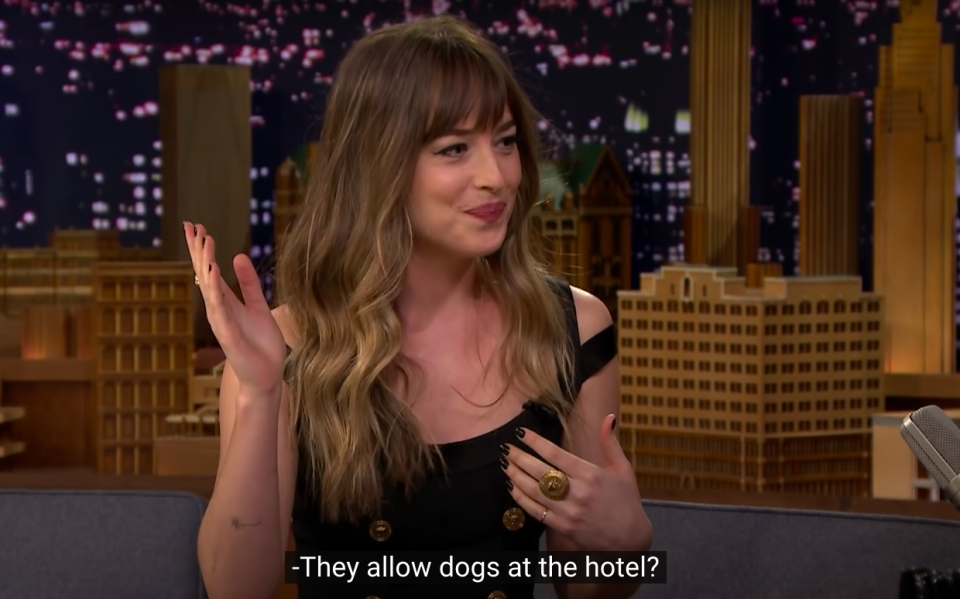 Dakota with the caption, "They allow dogs at the hotel?"