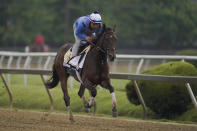 Black-Eyed Susan entrant Distinctlypossible gallops during a morning workout ahead of the Black-Eyed Susan horse race at Pimlico Race Course, Thursday, May 19, 2022, in Baltimore. (AP Photo/Julio Cortez)