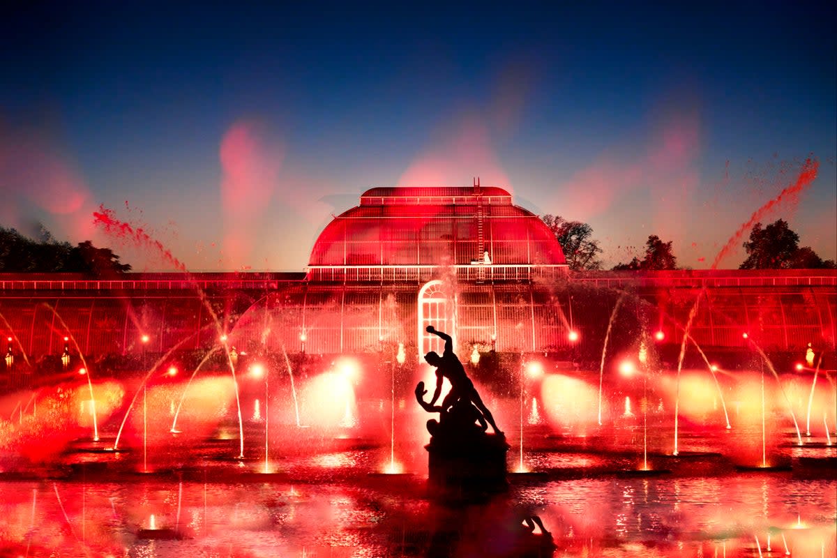 Spectacular: Christmas at Kew  (Kew Gardens)