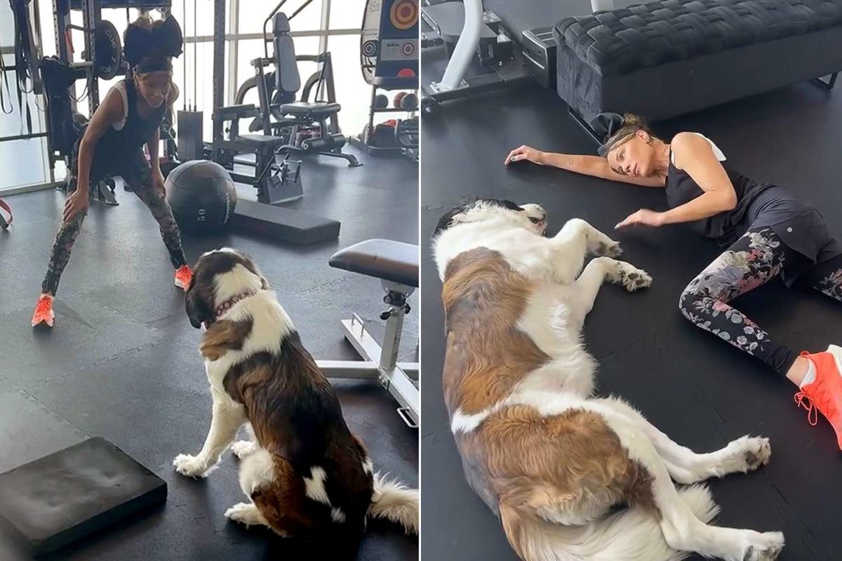 Kate Beckinsale Shares Video of Herself Playing with a Dog in Gym amid  Undisclosed Health Issues