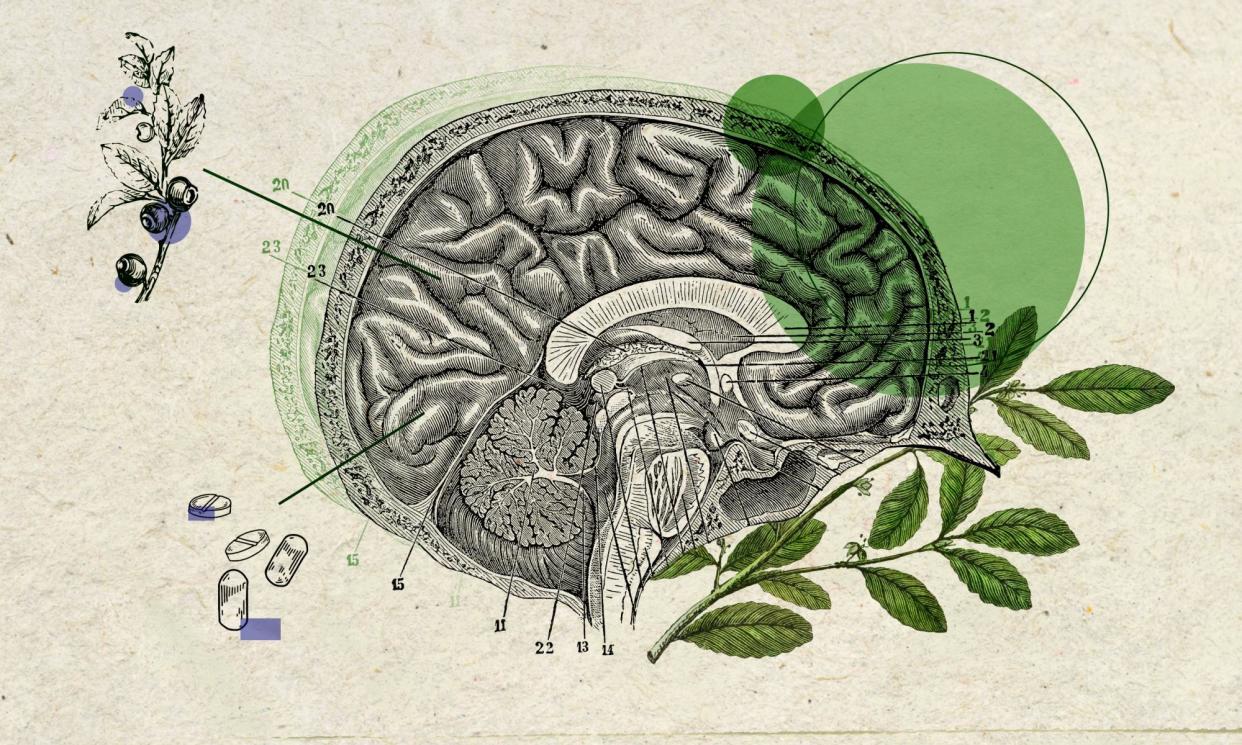 <span>A lucrative market has sprung up dealing in so-called “natural” brain boosters claiming to improve brain health and cognitive performance, sharpen memory, reduce tiredness, lift mood, and even slow age-related neurodegeneration. </span><span>Illustration: Guardian Design</span>