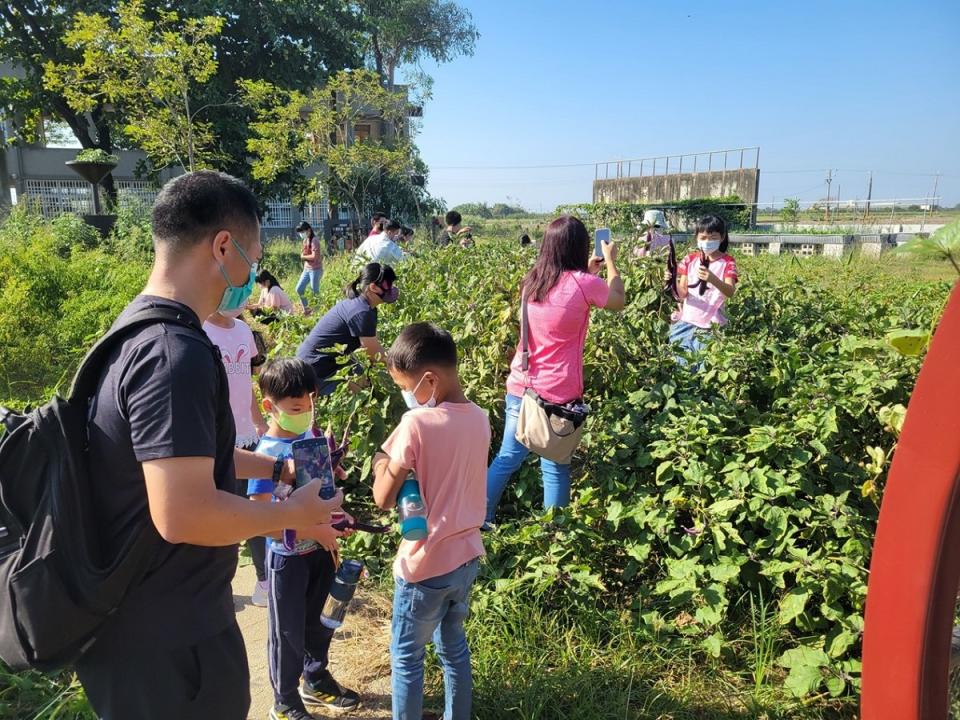 布袋鎮正義國小現在不僅是老人食堂和青農基地，還成為學童食農教育的場所。（圖：嘉義縣政府提供）