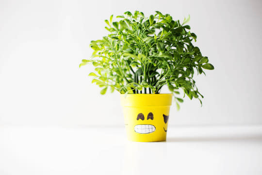 Emoji Planter