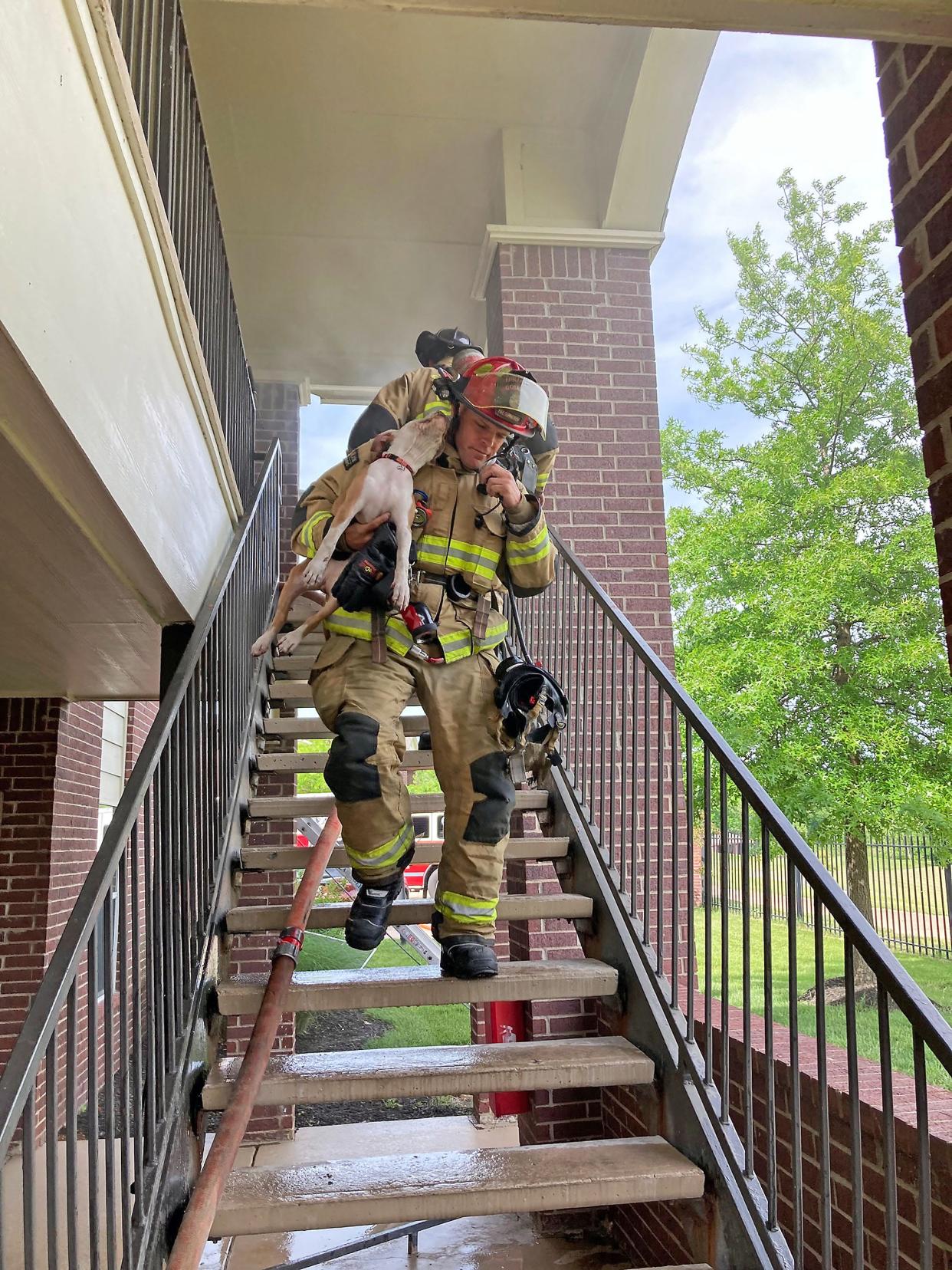 A member of the Columbia Fire Department carries a rescued dog Sunday during a response to an Apartment fire in eastern Columbia.