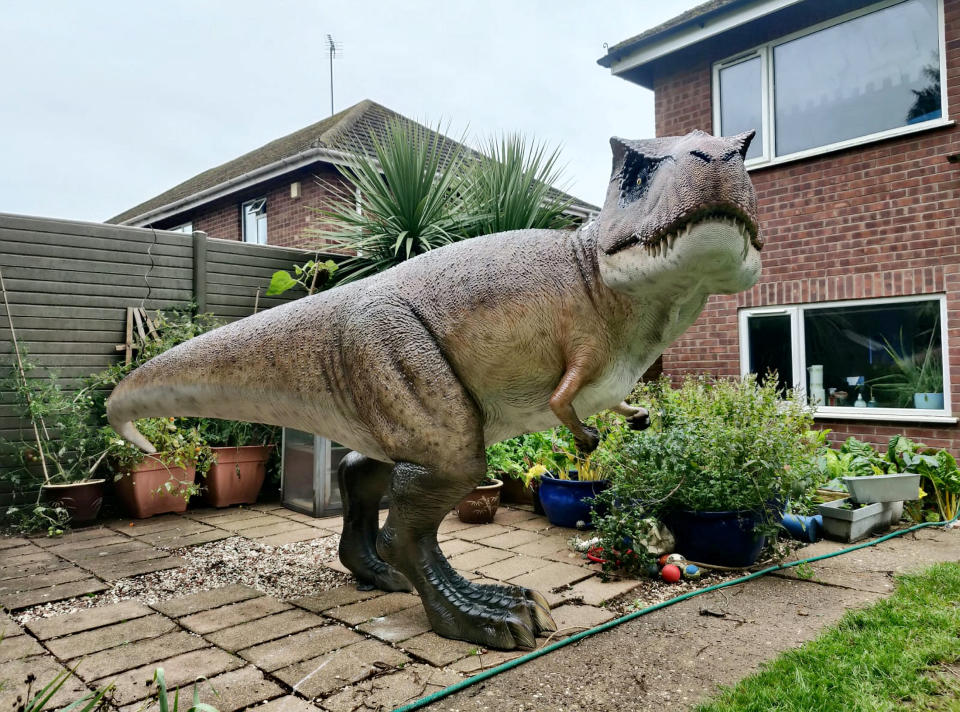 A wacky husband shocked his wife who wanted to brighten up their garden with a gnome - by installing a 12ft-tall replica of a T-REX on the patio. Adrian Shaw, 52, snapped up the 14-stone resin and fiberglass dinosaur and hired a crane to winch it into position on Thursday (3/9). He came up with the madcap-scheme after wife Deborah, 53, begged him to clean up the back garden of their home in Leamington Spa, Warks. The IT analyst paid £1,600 for the replica of the terrifying beast, which he named ‘Dave’ and put it on the patio.