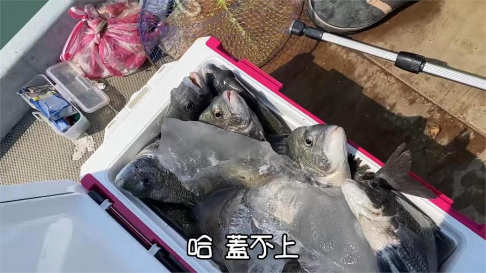 一天賺5萬！達人布袋外海爽釣250斤黑鯛　5桶冰箱全爆滿網讚嘆：太狂啦