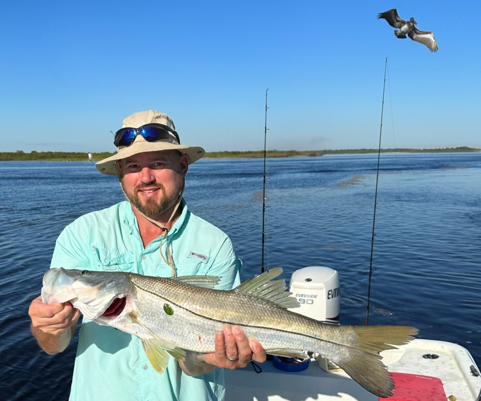 Adam Kendrick with a slot-sized snook (and an interested pelican hovering nearby).