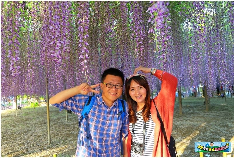 日本栃木縣｜足利花卉公園