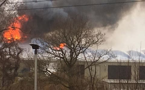 A fire has broken out in the Monsoon Forest habitat area of Chester Zoo - Credit: PA