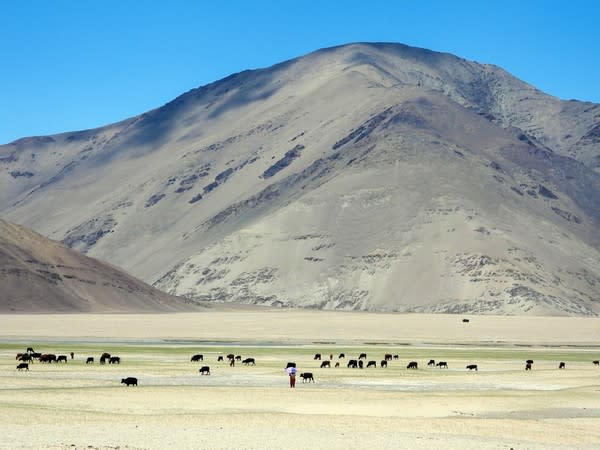 The cold desert of Ladakh Himalaya once experienced large floods, says Centre