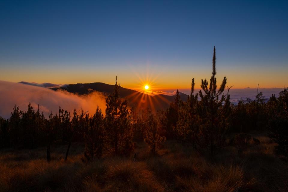 The Cordillera Central range is sometimes referred to as the Dominican Alps (Getty Images/iStockphoto)