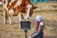 <p>For those who don't have a pet of their own, you can still give back to the planet through animals on Earth Day. The Catskill Animal Sanctuary offers Animals on Call tours, where participants get to meet the facility's rescue animals over video chat. The proceeds from these tours go towards rescuing more animals in need and providing amazing care to creatures living at the sanctuary. </p> <p><strong>Buy it!</strong> Catskill Animal Sanctuary Animals on Call Tour, Starts at $50; <a href="https://casanctuary.org/animals-on-call/" rel="nofollow noopener" target="_blank" data-ylk="slk:CaSanctuary.com;elm:context_link;itc:0;sec:content-canvas" class="link ">CaSanctuary.com</a></p>