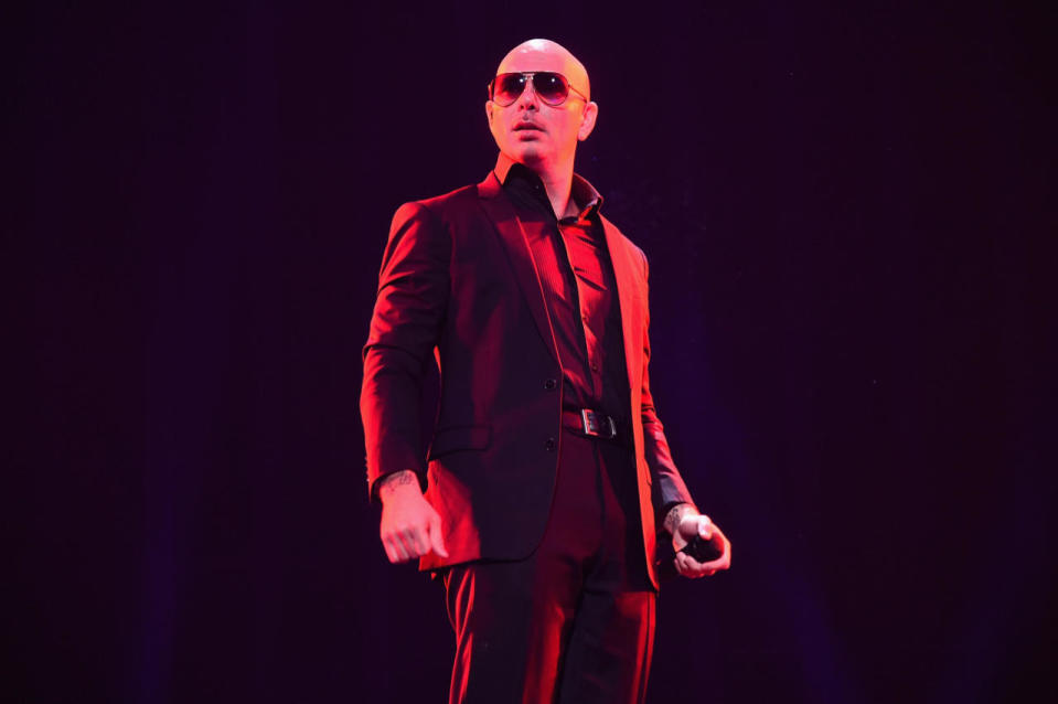 3. Pitbull