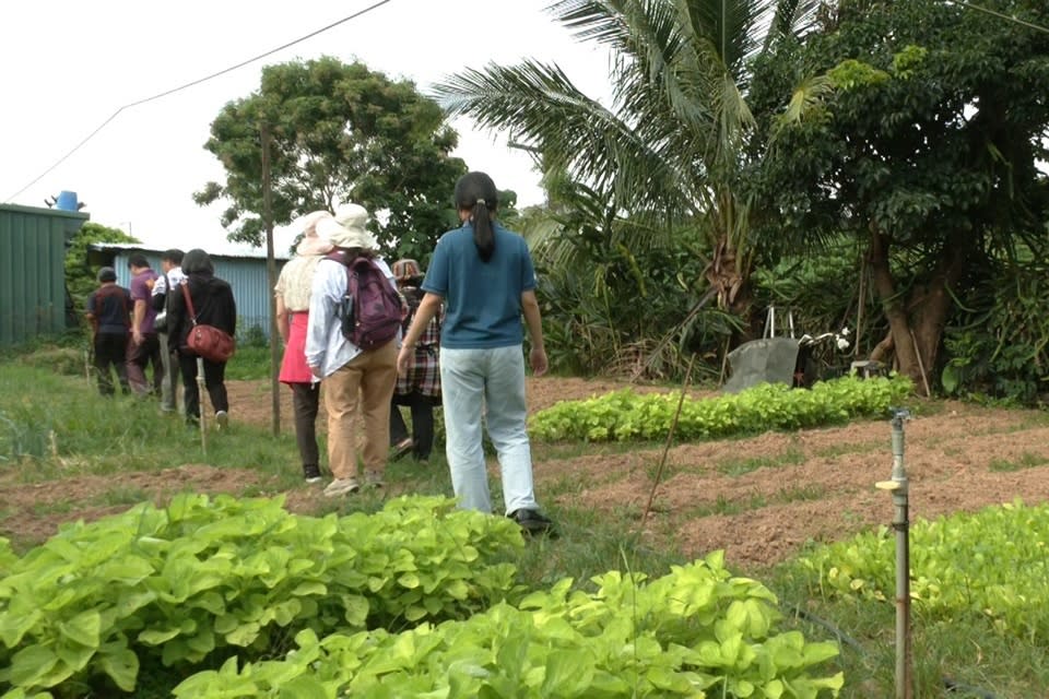 山豬窟休閒農業區推出農遊體驗課程，帶民眾逛菜園認識植物、摘菜備料，接著親手包水餃，收穫滿滿成就感。