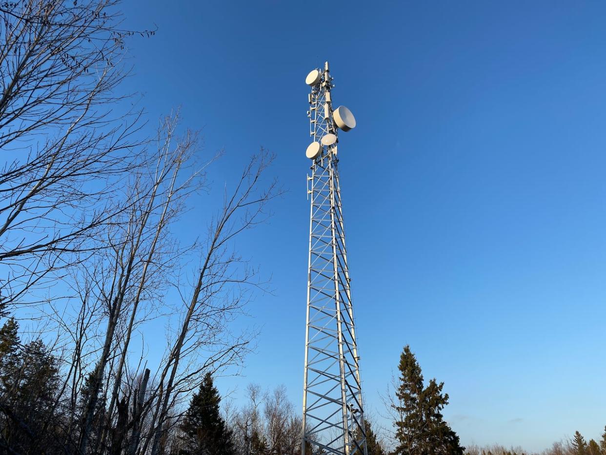 An internet tower stands behind the Municipality of Pictou County office in Pictou, N.S. (Haley Ryan/CBC - image credit)