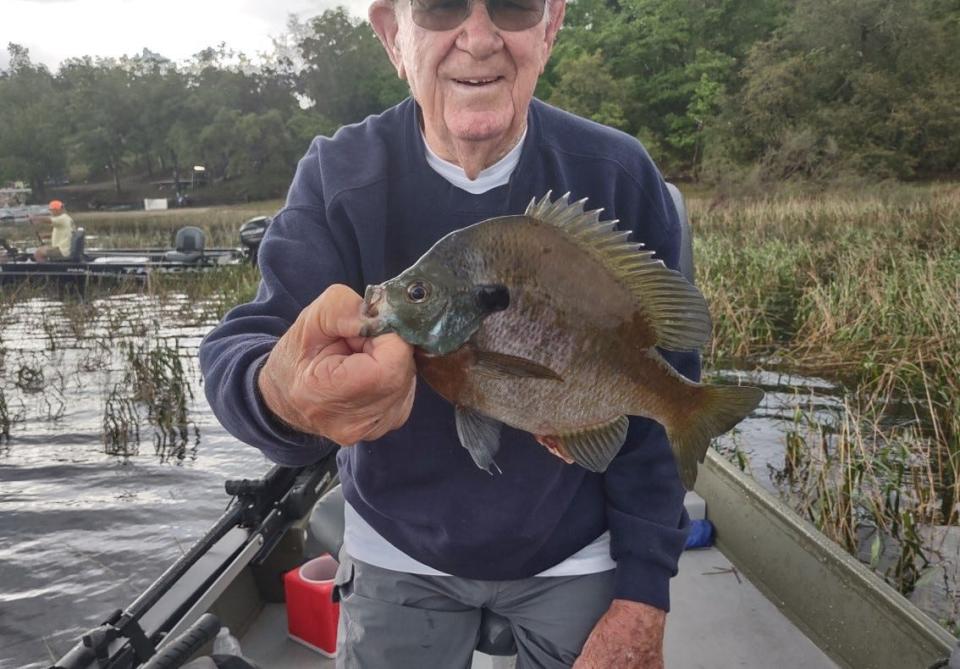 Lamar Wilkes, of Ormond Beach, heads to western Florida each year for an annual pan-fishing trip with his son. This chunky bluegill was part of the haul.