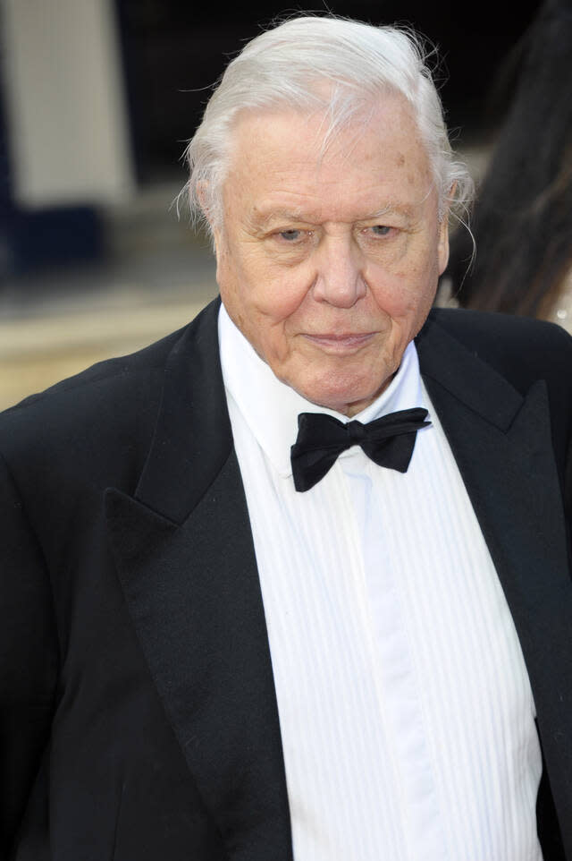 Auch der legendäre Tierfilmer Sir David Attenborough ist dabei. Mit 96 Jahren ist er nicht nur genauso alt wie die Queen und produziert immer noch Weltklasse-Dokumentationen, sondern ist wie die Jubilarin auch eine Art Nationalheiligtum.